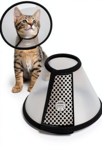 Adjustable Recovery Pet Cone Depets Plastic & Sponge Small/Medium-0