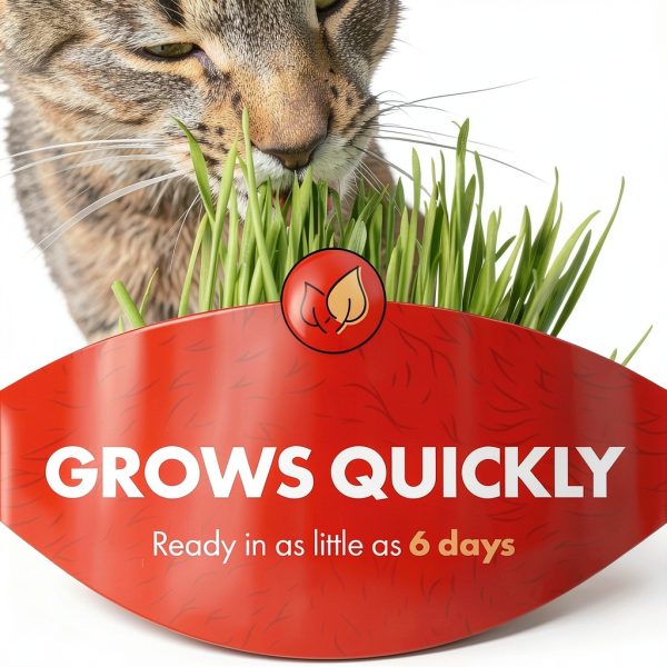 Cat Grass Miracle Care Kit for Indoor Cats 5.25oz Hairball Control-3