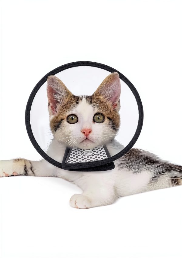 Adjustable Recovery Pet Cone Depets Plastic & Sponge Small/Medium-7