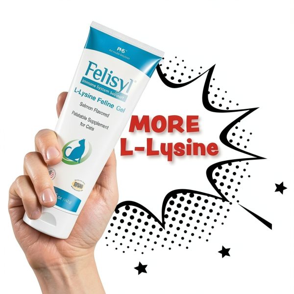 L-Lysine Gel for Cats – Pet Health Solutions Immune Support 5oz-5