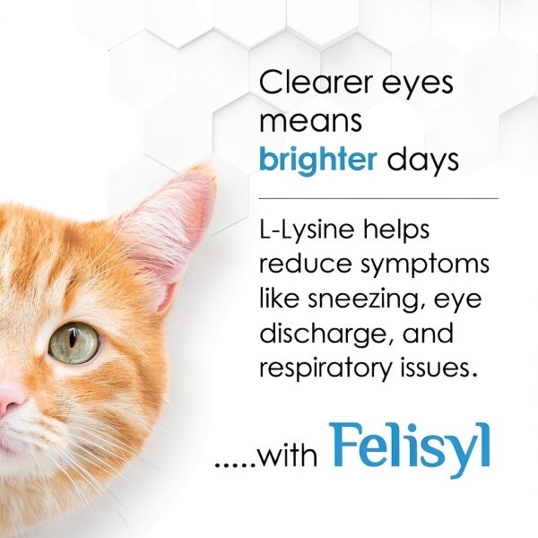L-Lysine Gel for Cats – Pet Health Solutions Immune Support 5oz-9