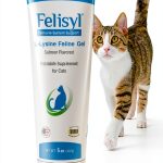 L-Lysine Gel for Cats – Pet Health Solutions Immune Support 5oz-0