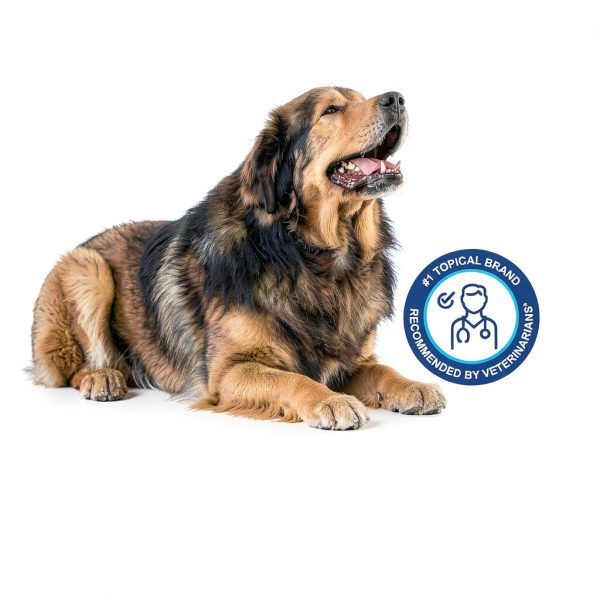 Douxo S3 Calm Mousse 0.75% Ophytrium Relief for Dogs & Cats 5.1oz-6