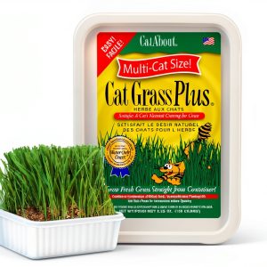 Cat Grass Miracle Care Kit for Indoor Cats 5.25oz Hairball Control-0