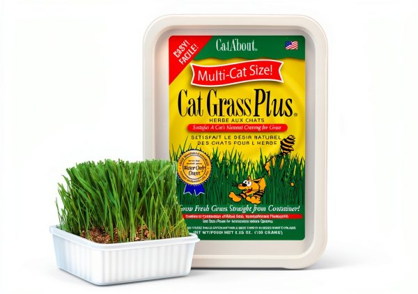 Cat Grass Miracle Care Kit for Indoor Cats 5.25oz Hairball Control-0