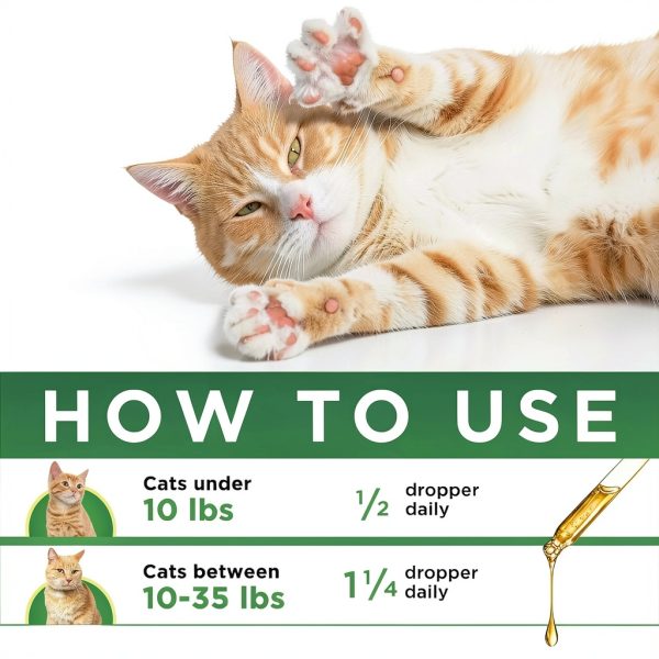 Cat Antibiotic by SalutemPet Liquid 2 Oz Natural Chicken Flavor-3