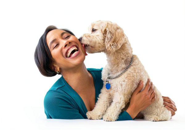 Hemp Oil for Dogs & Cats by Charlie & Buddy – Anxiety & Pain Relief-6