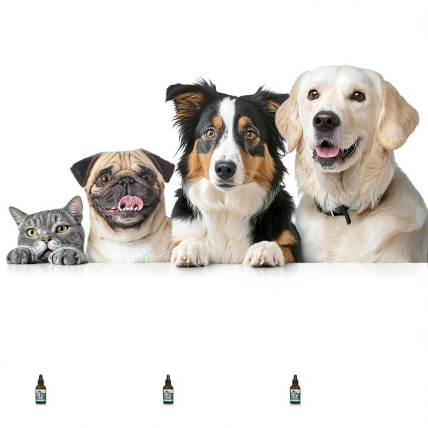 Hemp Oil for Dogs & Cats by Charlie & Buddy – Anxiety & Pain Relief-4