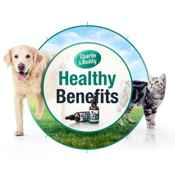 Hemp Oil for Dogs & Cats by Charlie & Buddy – Anxiety & Pain Relief-1