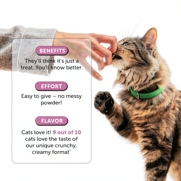 Cat Multivitamin Chews Chicken 90ct Pet Honesty Immune Skin-5